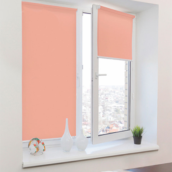 Рулонные шторы Мини белые